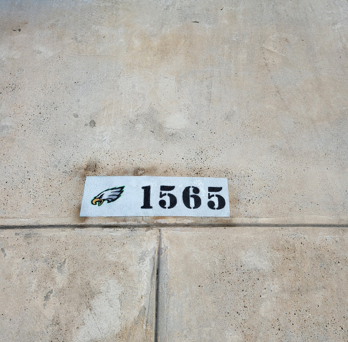 Custom curb address 1565 with an Eagles team logo